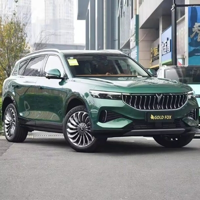 2024 Voyah Free Electric SUV Hybrid with Lithium Iron Phosphate Battery and High Speed