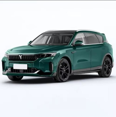 Dongdeng's Voyah Free 2024 860km Electric Car with Permanent Magnet Synchronous Motor