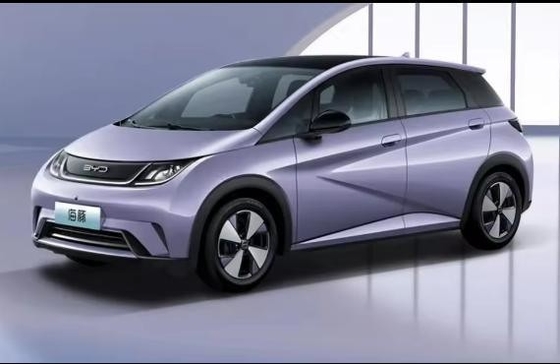 Byd 2022 Tang Dm-P 215km 4WD Flagship Hybrid Electric EV Car Made in Han Tang Yuan Dolphin